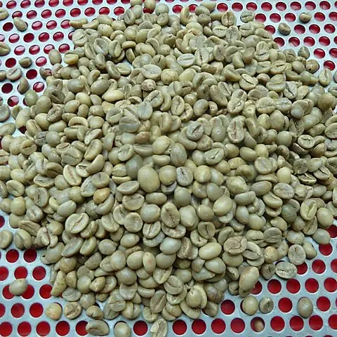 Вьетнамские кофейные зерна с влажной полировкой ROBUSTA