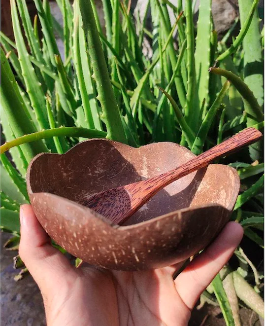 ECO-friendly Natural Bowl of Coconut Decor/ Coconut Dining Bowl/ Coconut products decor made in Viet Nam