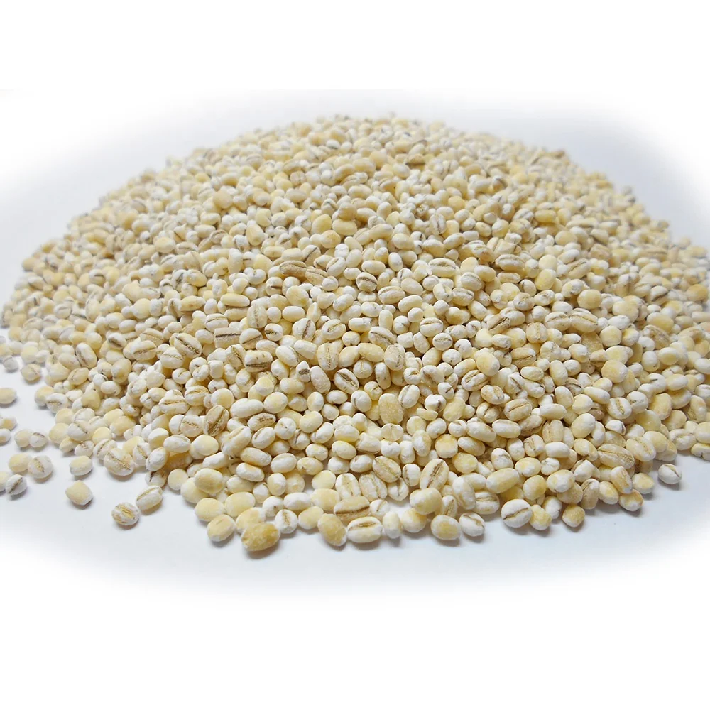 
Pearl barley grain bulk 