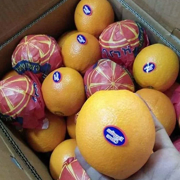 
Low Price For Fresh Orange Fruit Wholesale Valencia Navel Orange - Lemonn 