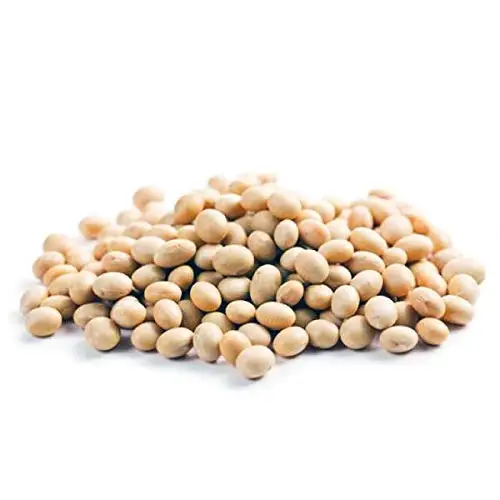 
Wholesale High Quality Soybean/soya Bean, Soybean Seeds COMMON Dried Bulk AD 
