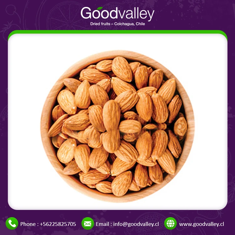 Wholesale Price Raw Almonds Available Almonds for Magnesium and Vitamin E