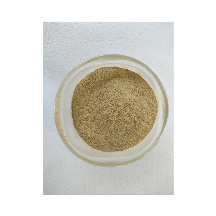 Factory Direct Supply Superior Quality Best Selling 100% Pure and Natural Siwak Powder for Wholesale Purchase