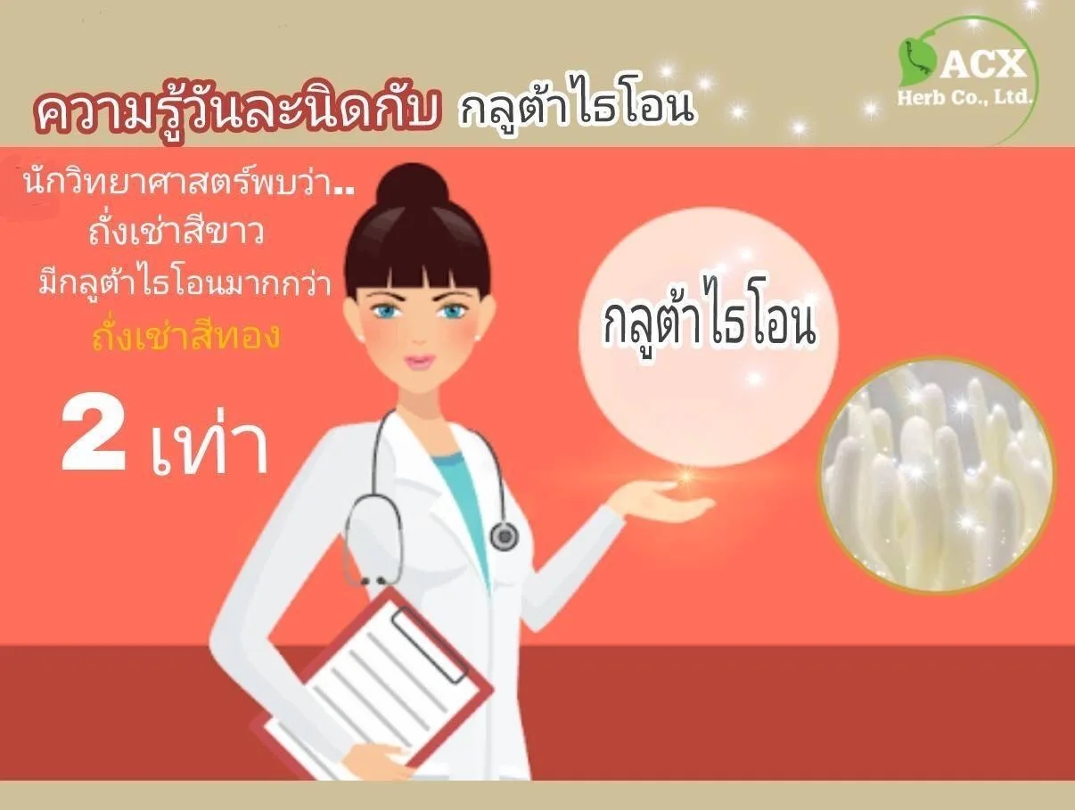 Cordyceps Militaris Capsules Healthcare Supplement Vitamin Premium Quality from Thailand for 100% Export