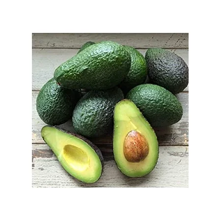 Organic Fresh Fruit Hass Avocado
