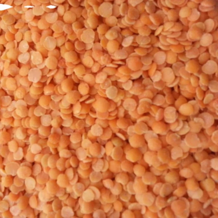 Бобы с красной линзой