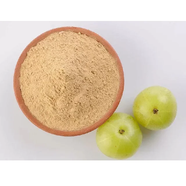 Amla Powder Powder Pure Anti-oxidation Product Organic Amla Gooseberry Extract Powder  Phyllanthus Emblica Fruit Extract