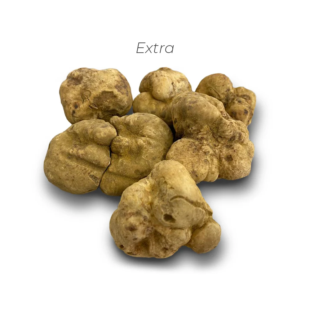  100% итальянский тосканский белый трюфель клубок Magnatum Pico