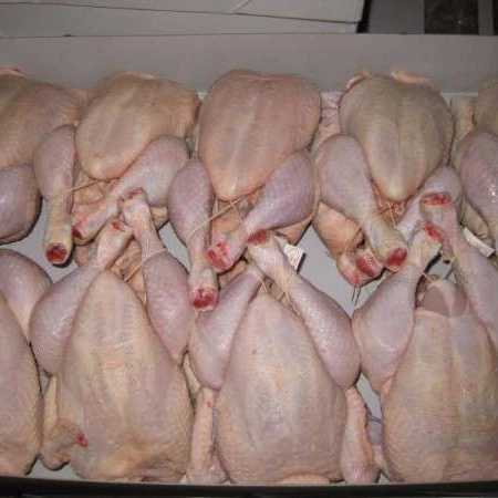 
Whole Frozen Chicken for sale 