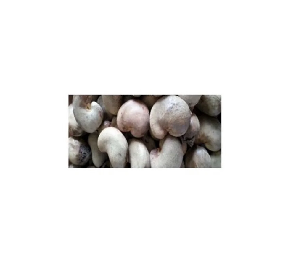 Fresh RAW CASHEW NUTS High Quality Ready to Ship