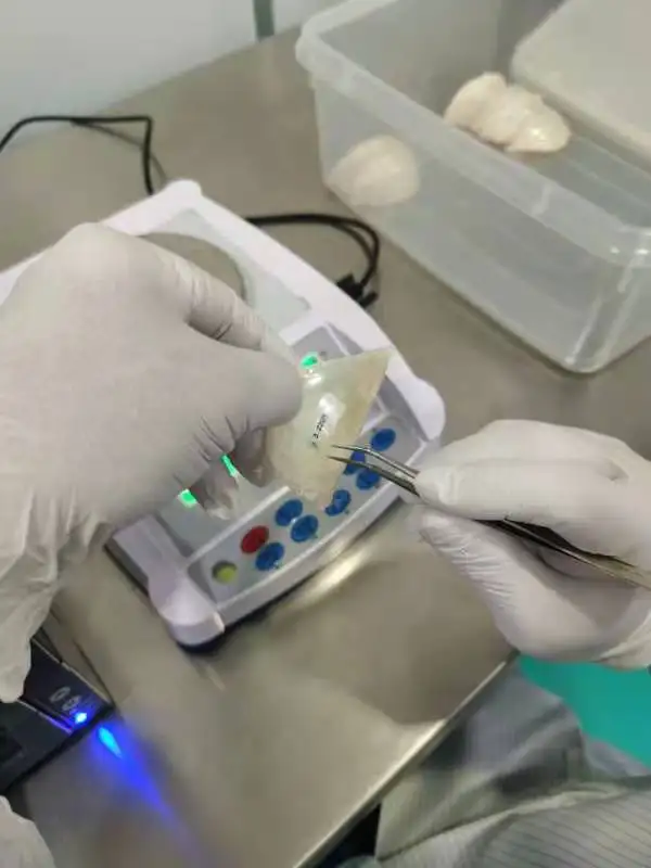 100 г высококачественное Птичье гнездо/кубилоза из Малайзии (юань Ми Чжань)