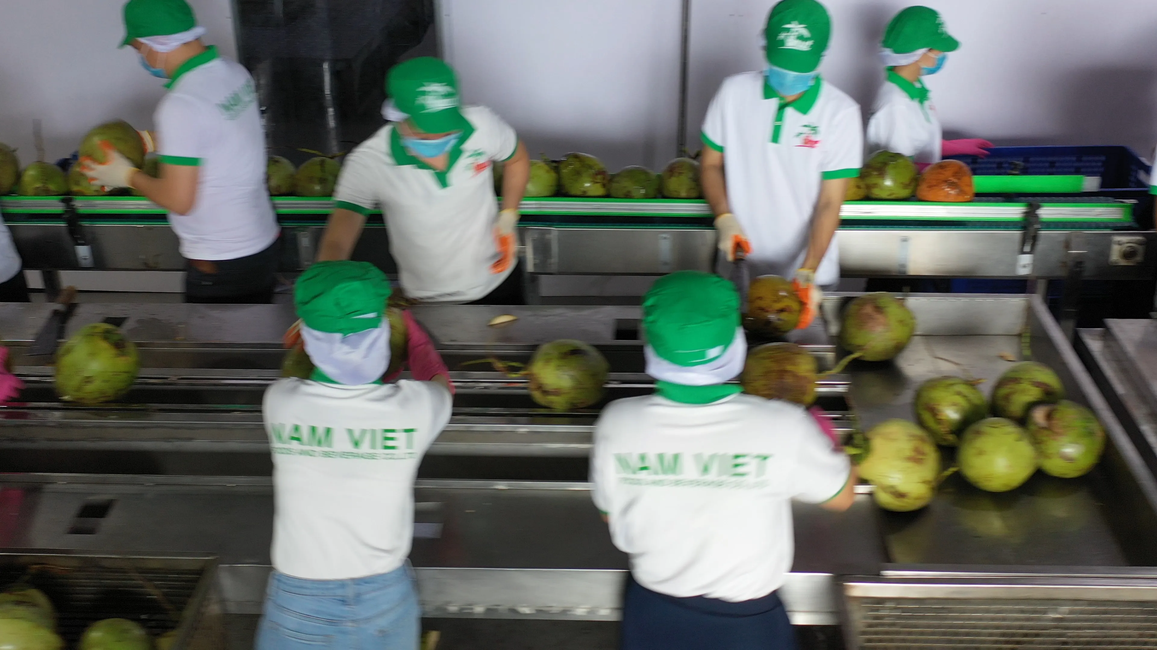 330 мл VINUT пластиковая бутылка кокосовая вода с клубничным белым ярлыком Заводские продавцы без добавления сахара низким содержанием углерода во Вьетнаме