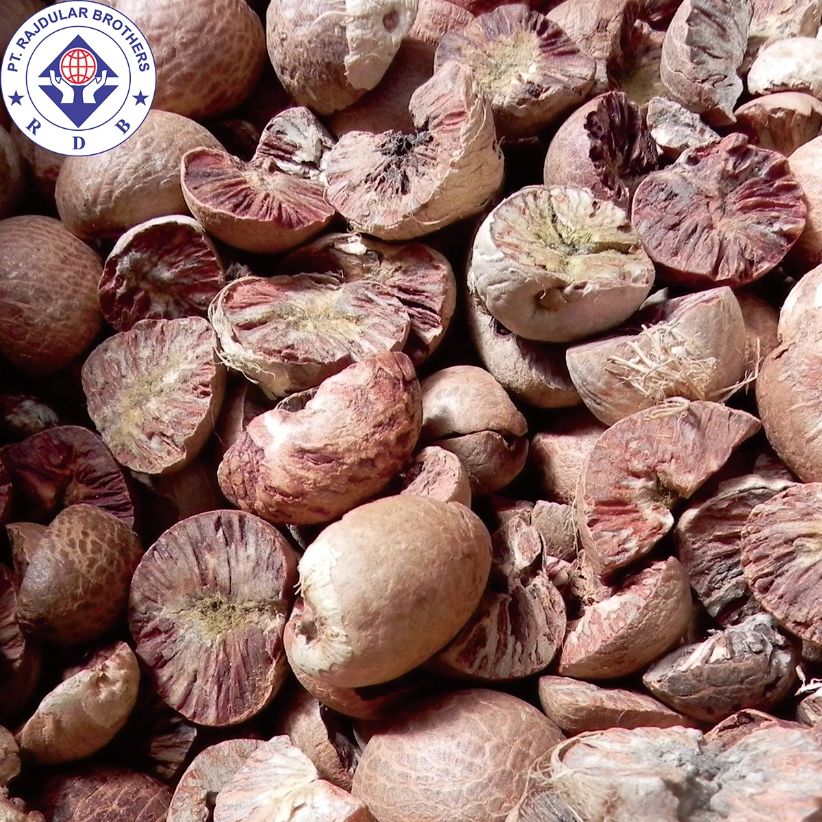 
HIGH QUALITY BETEL NUT / ARECA NUT 