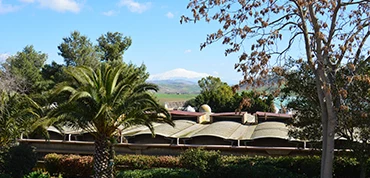 Сделано в Италии, пищевые продукты высокого качества, свиное мясо, PGI, сантоанджело, салями, колбаса