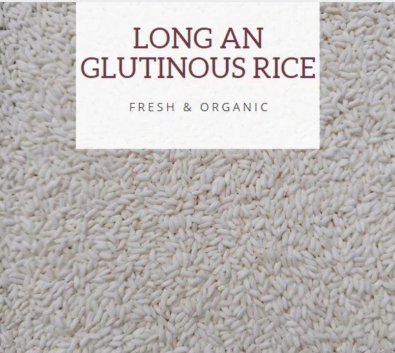 MECOFOOD Vietnam Cheap Price Glutinous Rice 5% Broken High Quality Ready to Export Packaging 5Kg Bags