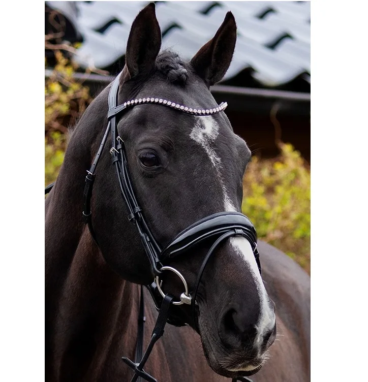 Высококачественная кожаная уздечка с горячей фиксацией для бровей из индийской кожи с латунным фитингом и мягкой подкладкой из коровьей кожи