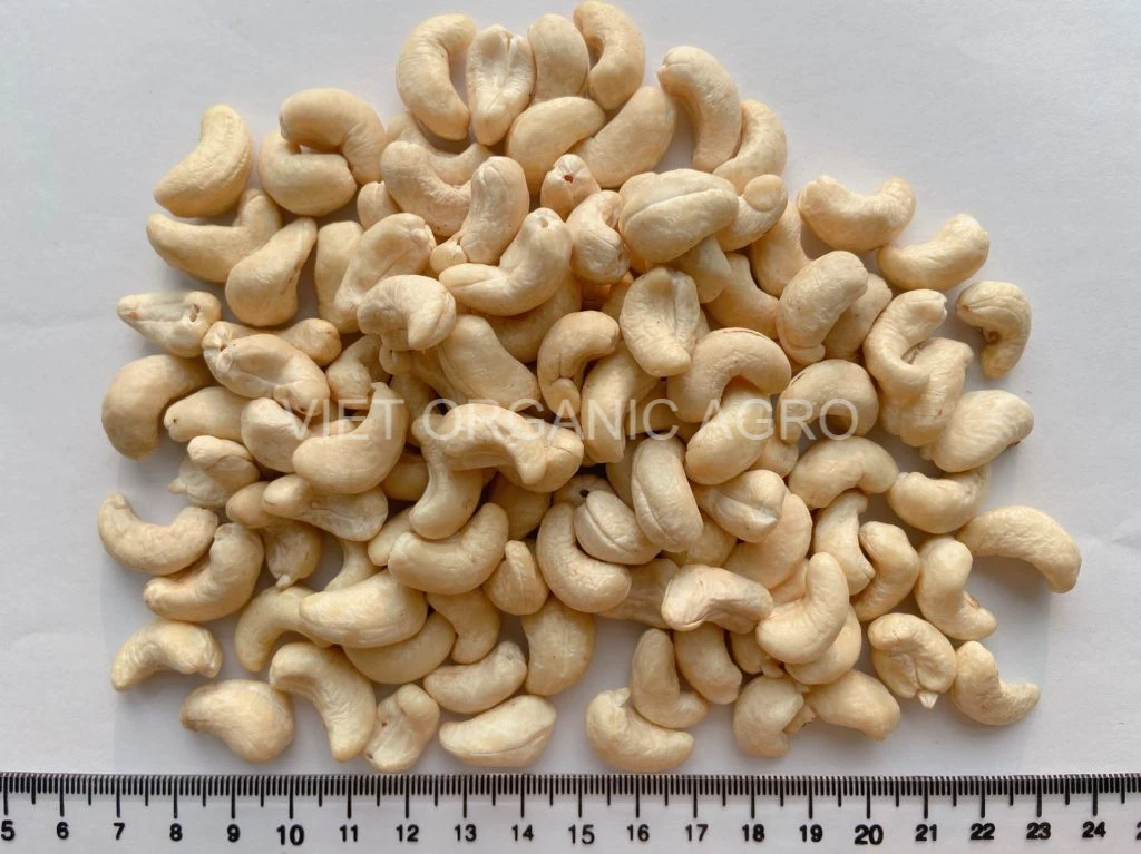 Vietnam supplier various types of cashew nut for wholesale - High quality  cashew kernel LP - Raw/ roasted cashew nuts