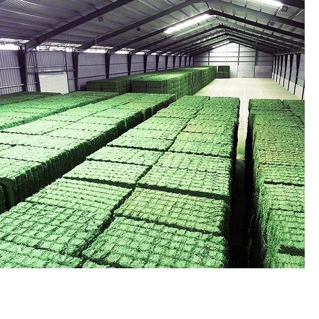 Buy Organic Alfalfa Grass Hay in netherlands/ Alfalfa Hay Pellets For Animal Feed For Sale Bulk in the uk