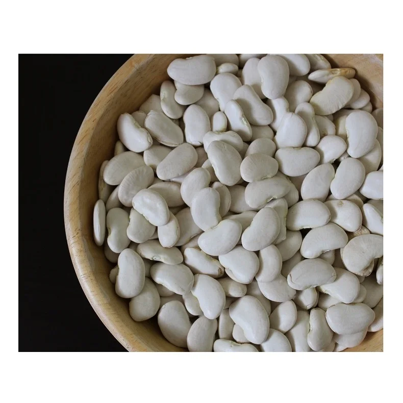 
100% Natural Quality Wholesale Supplier Of Large Lima Beans At Cheap Price 