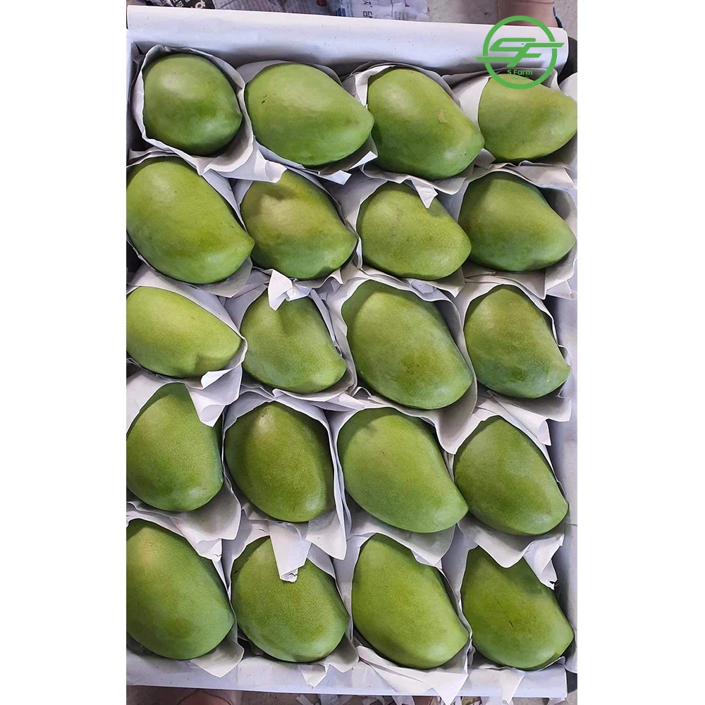 Оптовая продажа свежей MANGO------HIGH качества из Вьетнама (Whatsapp/zalo/wechat: + 84 912 964 858)