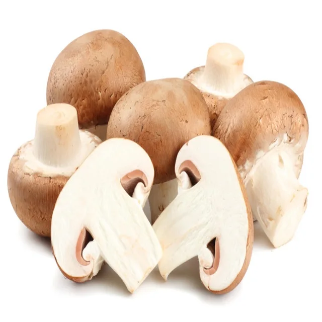 
50kg fresh agaricus brazil mushroom 