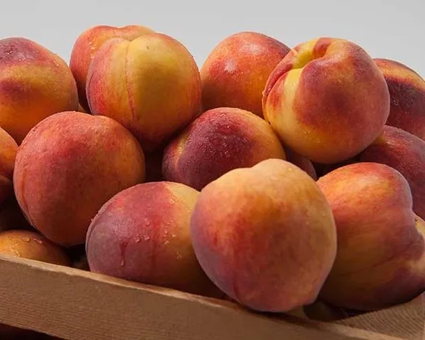
Fresh Peaches & nectarines 
