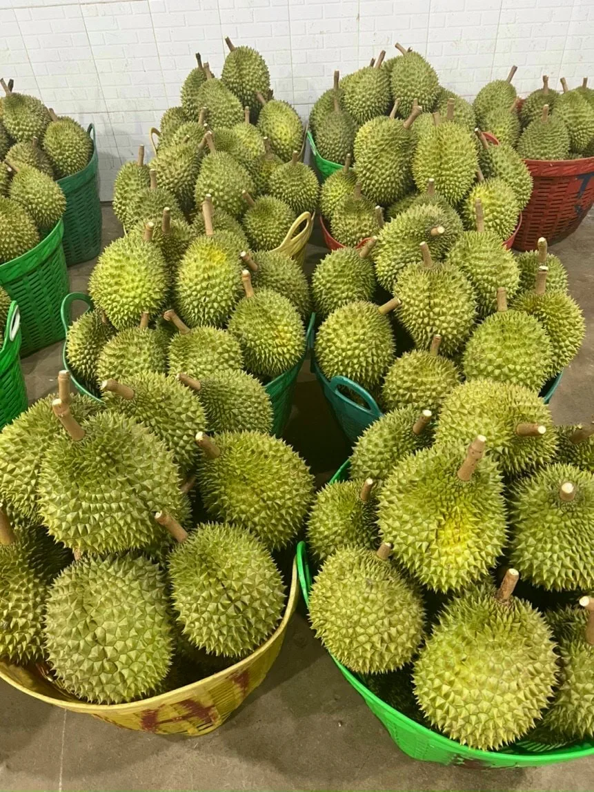 Вьетнам OM4900 рис, сделанный во Вьетнаме, сушеный стиль, высокое качество, хит продаж в 2021 году