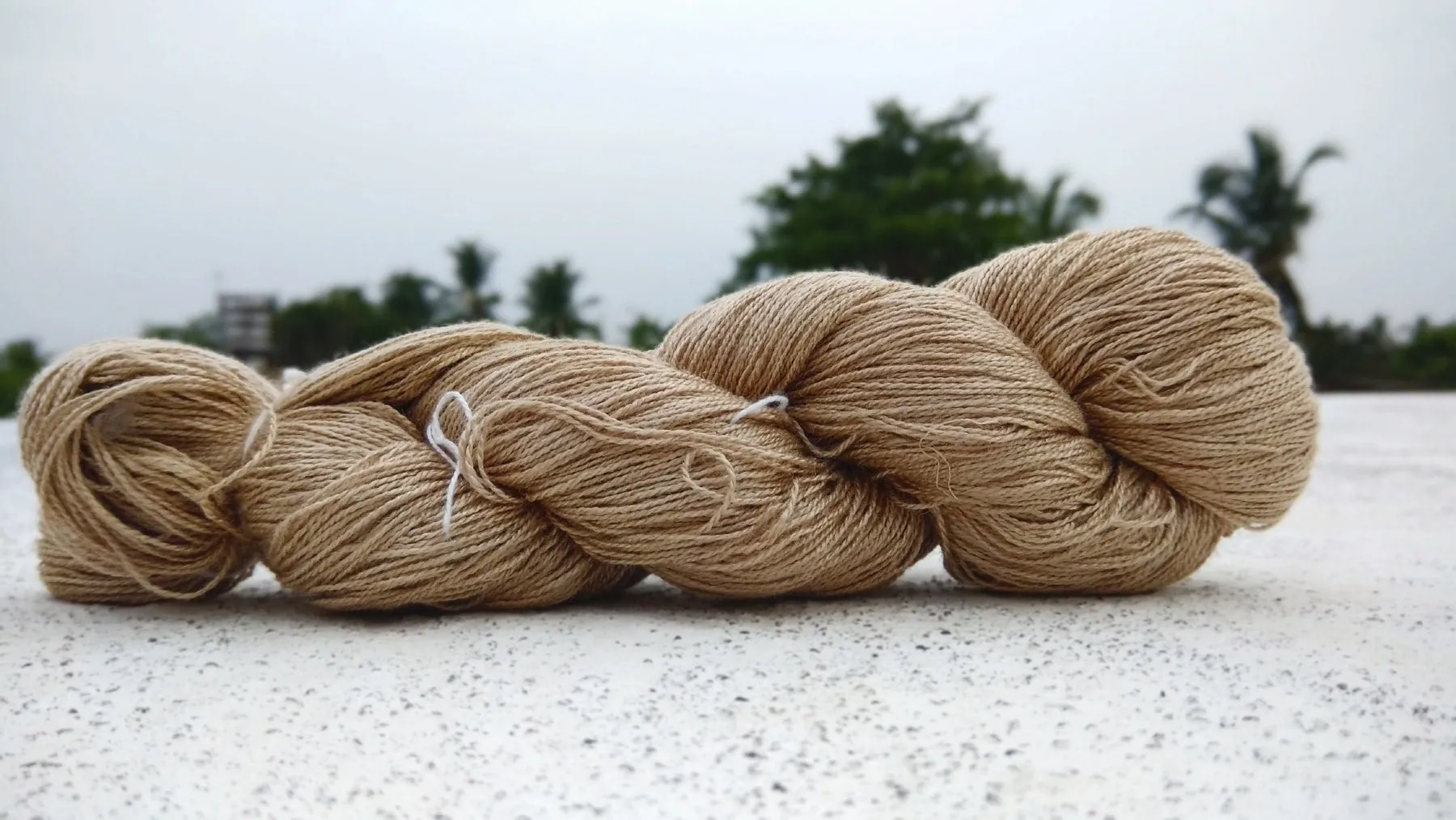 Muga Silk Yarns in Various Counts