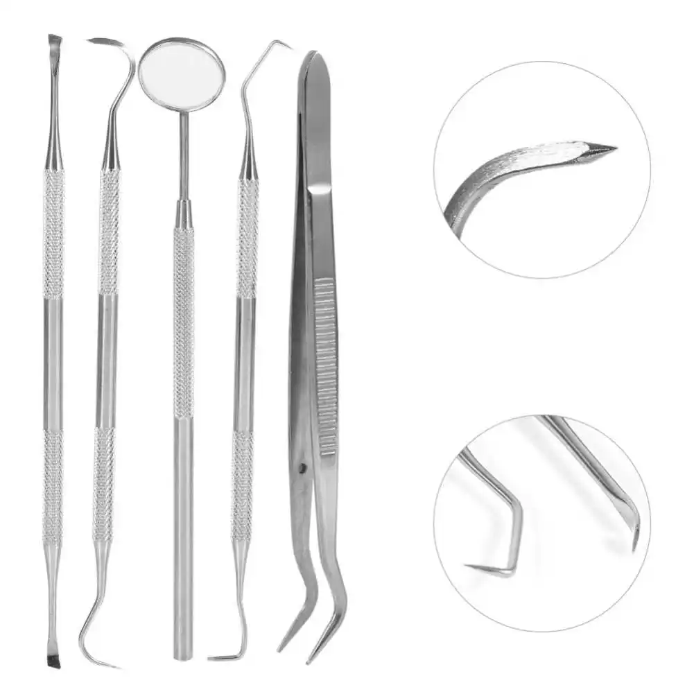 Dental Hygiene Kit Plaque Remover Set of 5 Pieces Stainless Steel CE Certificate 1 PK Manual More Than Years RS - 302