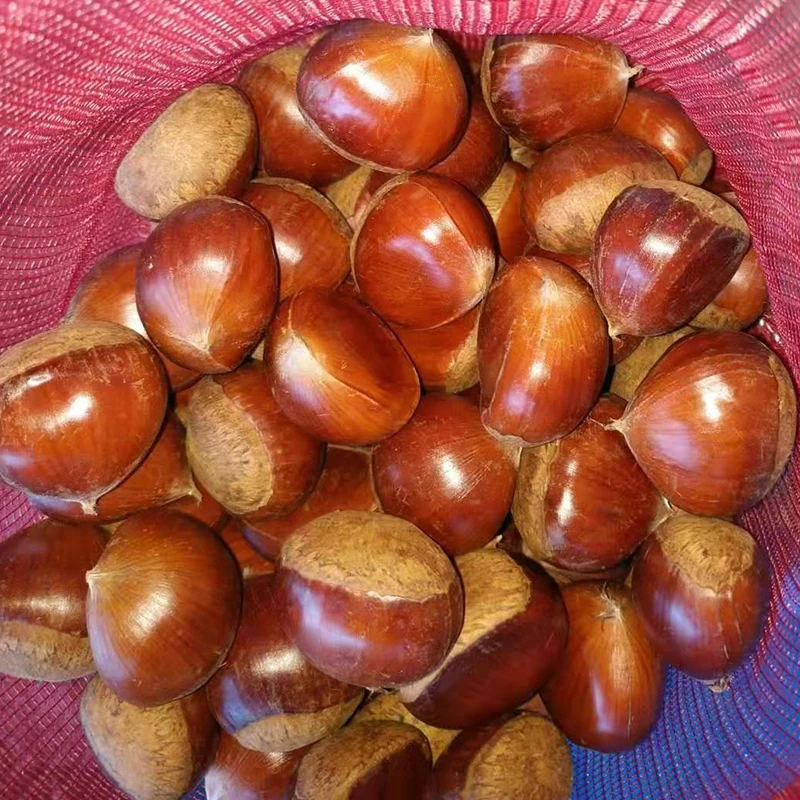  Оптовая продажа замороженный очищенный жареный каштан по низкой цене