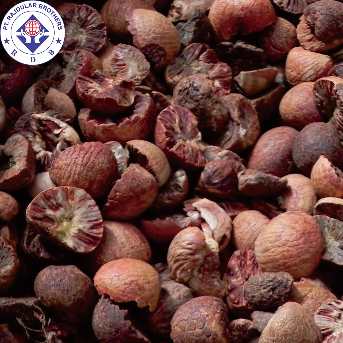
HIGH QUALITY BETEL NUT / ARECA NUT 