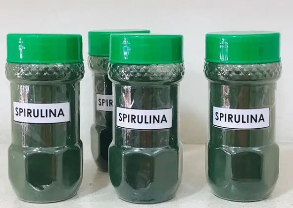  100% Pure Spirulina Powder / Capsules
