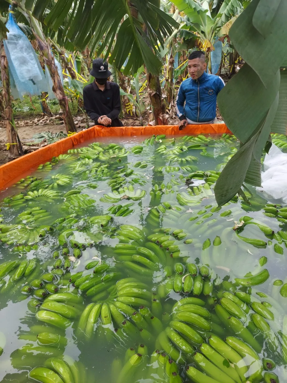 MicrosoftTeams-image (3).png