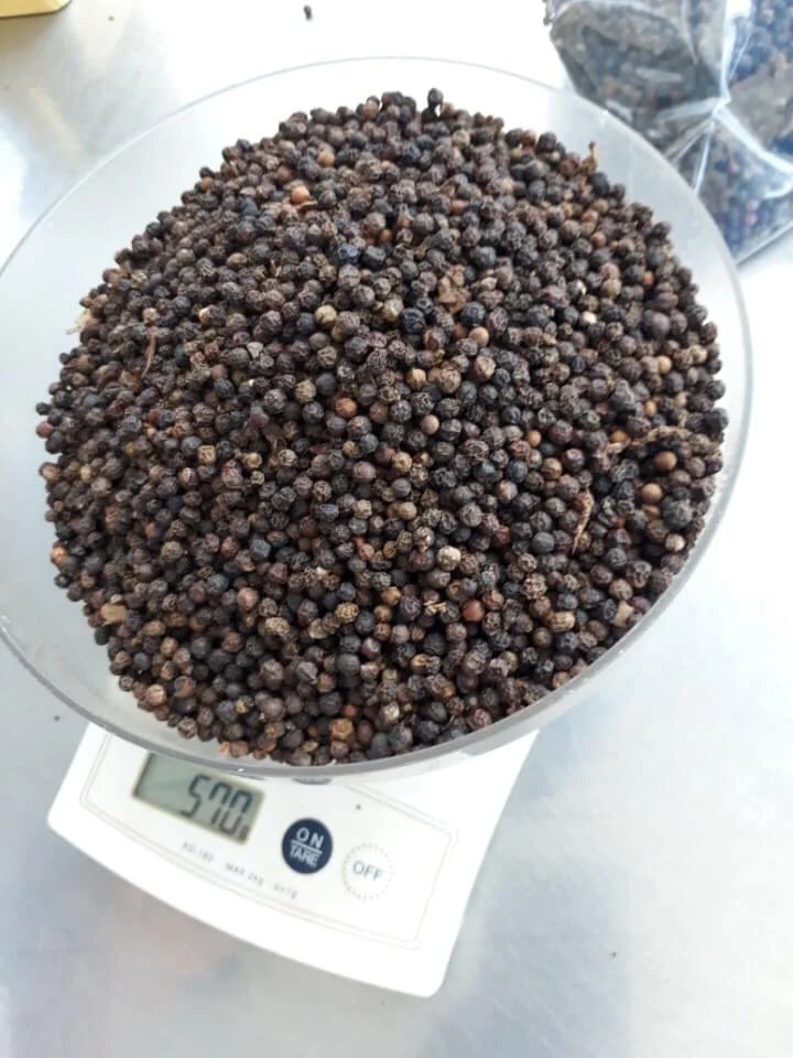 Hot Spices For Sale Vietnam Black Pepper