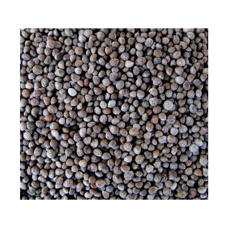 Minimal Price Exceptional Quality Dried Perilla Seeds for Sale