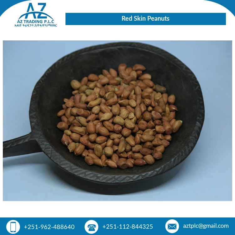 African Supplier Bulk Selling Huge Demand Quality Fresh Red Skin New Crop Peanuts