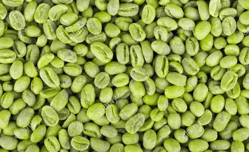 Vietnam green coffee bean | The best product for heath, beauty and energy with 100% natural