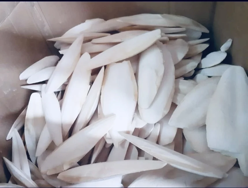 Cuttlebone Material Dried Cuttlefish Bone Or Dried Cuttlebone Best Quality For Sale From Vietnam