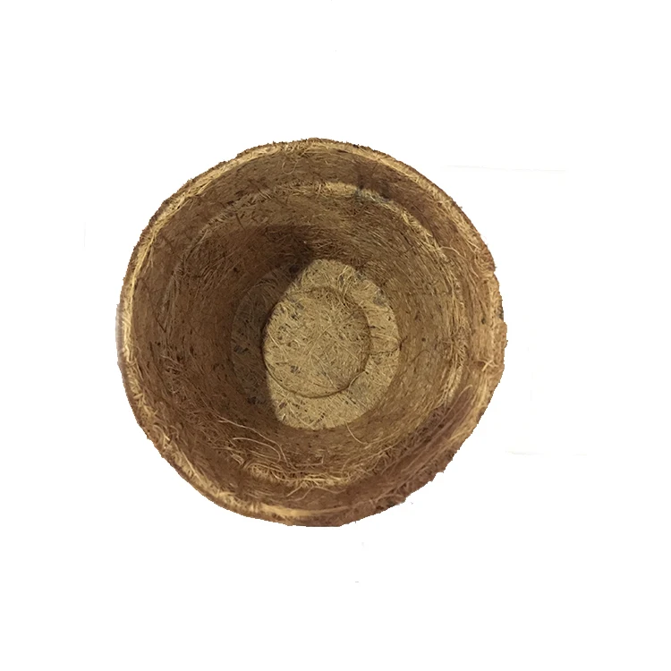 Coconut Coir Pot