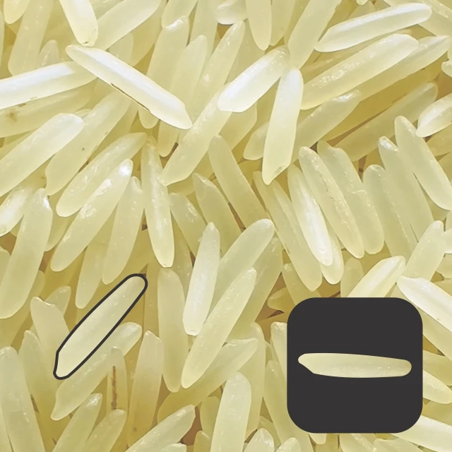 1509 Creamy Sella Rice