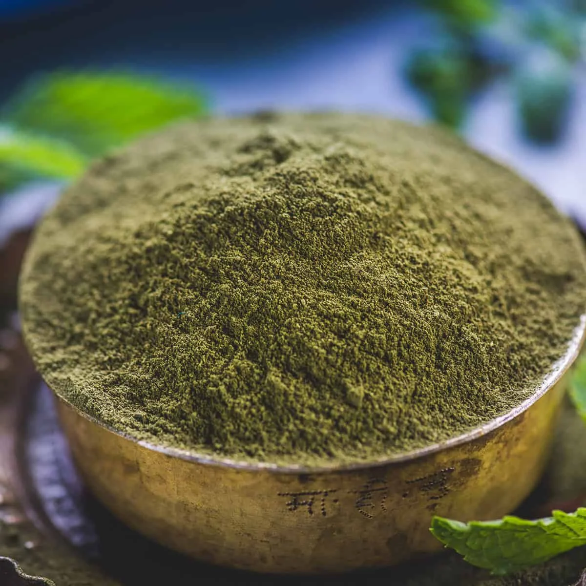 
Dried Mint Leaves Powder 2021 crop 