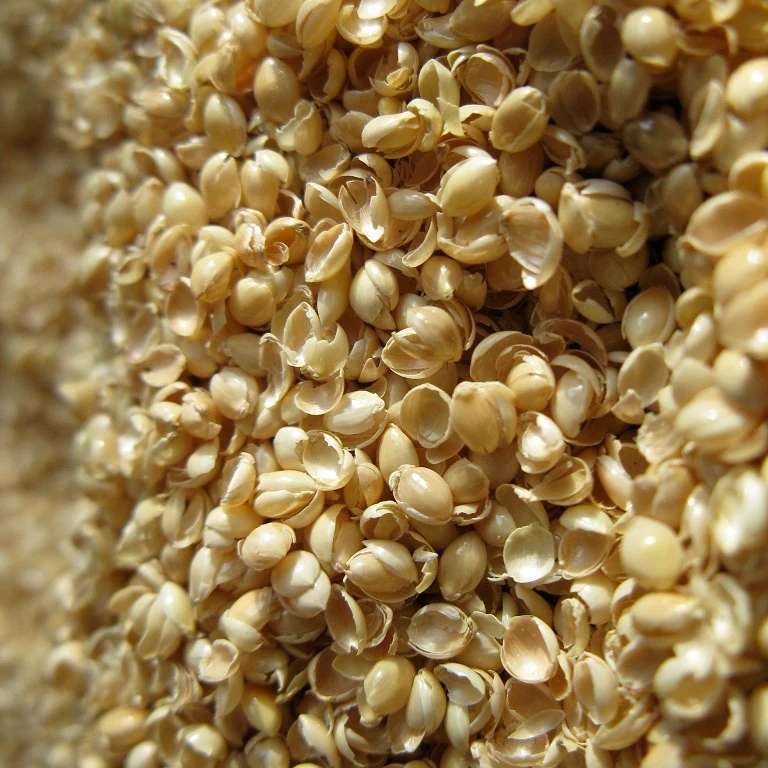 Millet Milletmillet 2020 Factory Wholesale Food Natural Birds Eat Yellow Millet