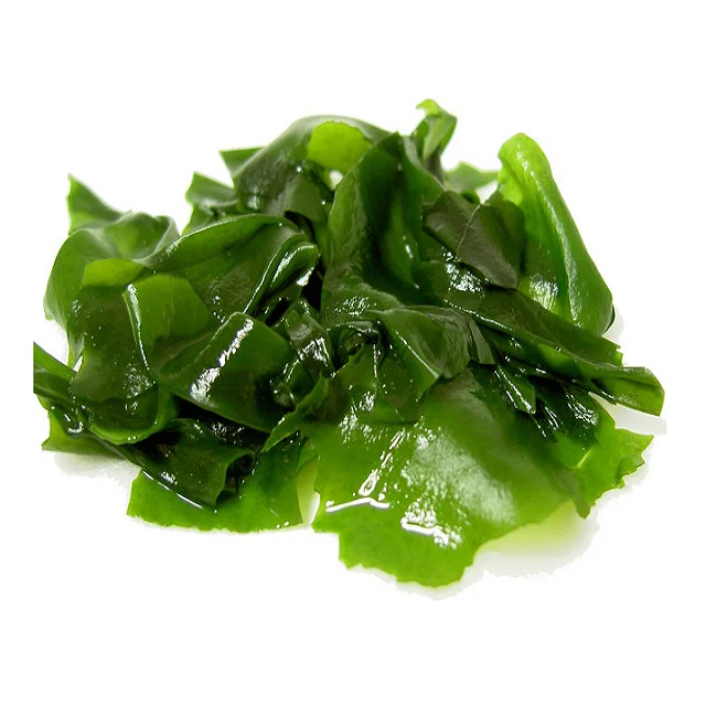 
BEST PRICE Korean Organic Sea Mustard Edible Seaweed Wakame Miyeok 