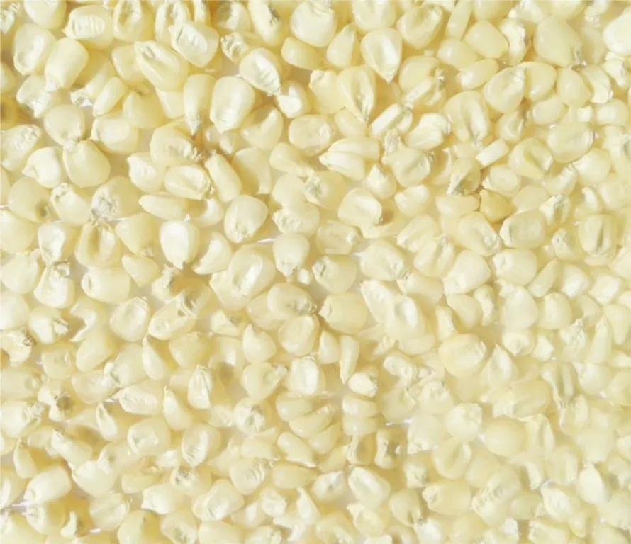 Wholesale price frozen corn whole kernels white corn