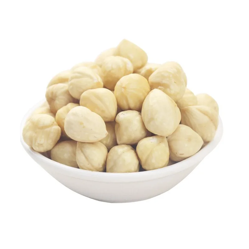 Raw Hazelnut / Organic Grade Hazelnut Premium Fresh Raw Hazelnuts in Shell