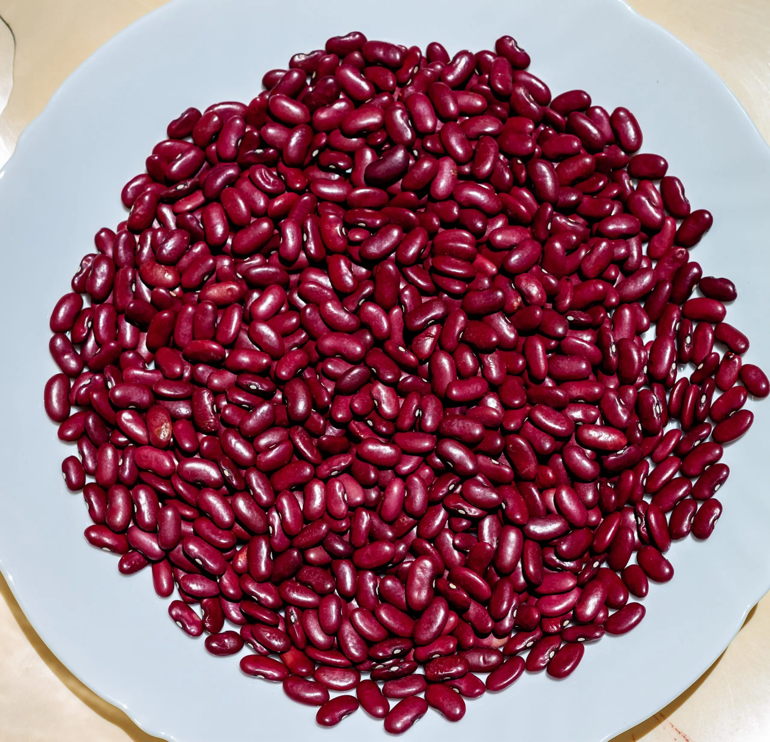 Dried High yield red kidney beans