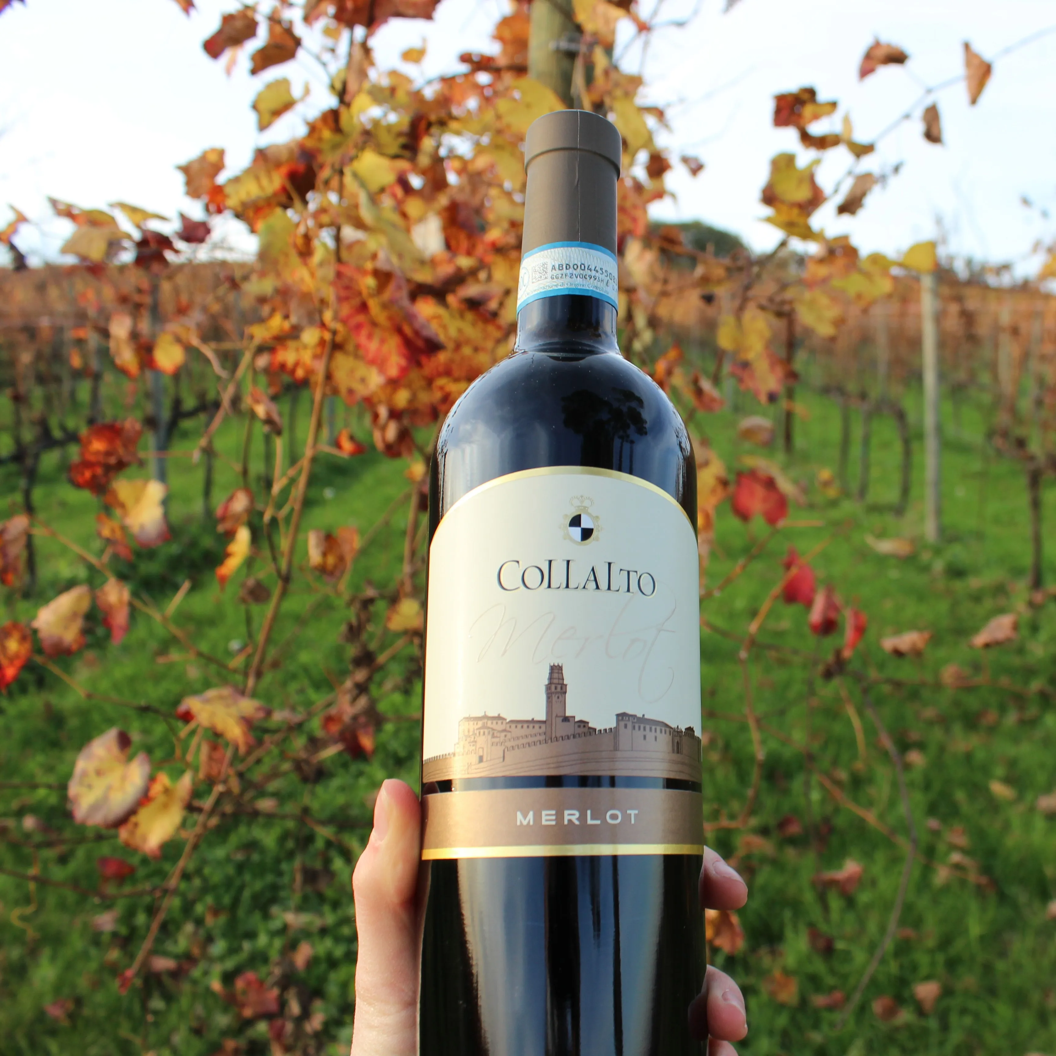 Сделано в Италии бутылка для красного вина MERLOT PIAVE DOC 0 75 Л стеклянная