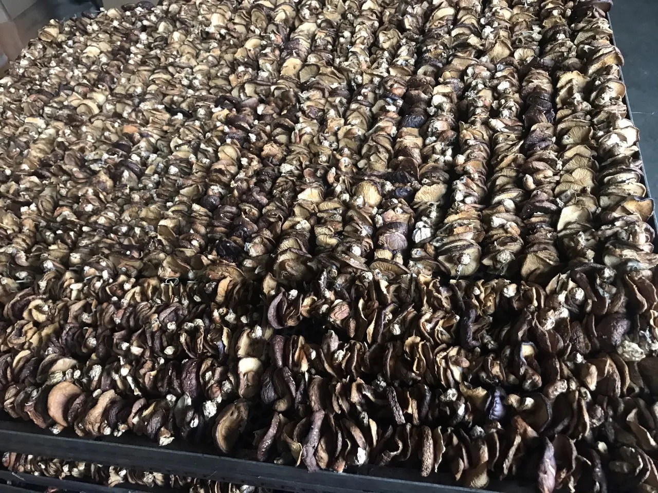 Wholesale Price New Crop Vietnamese Shitake Mushroom High Quality Dried Shitake Mushroom Organic Food 2021