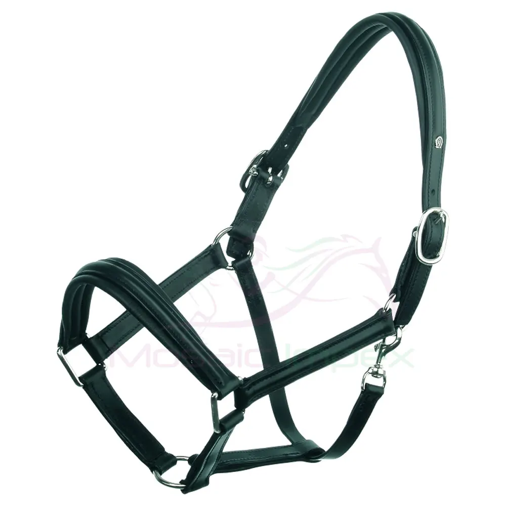 Horse Leather Premium Halter Wholesale Price