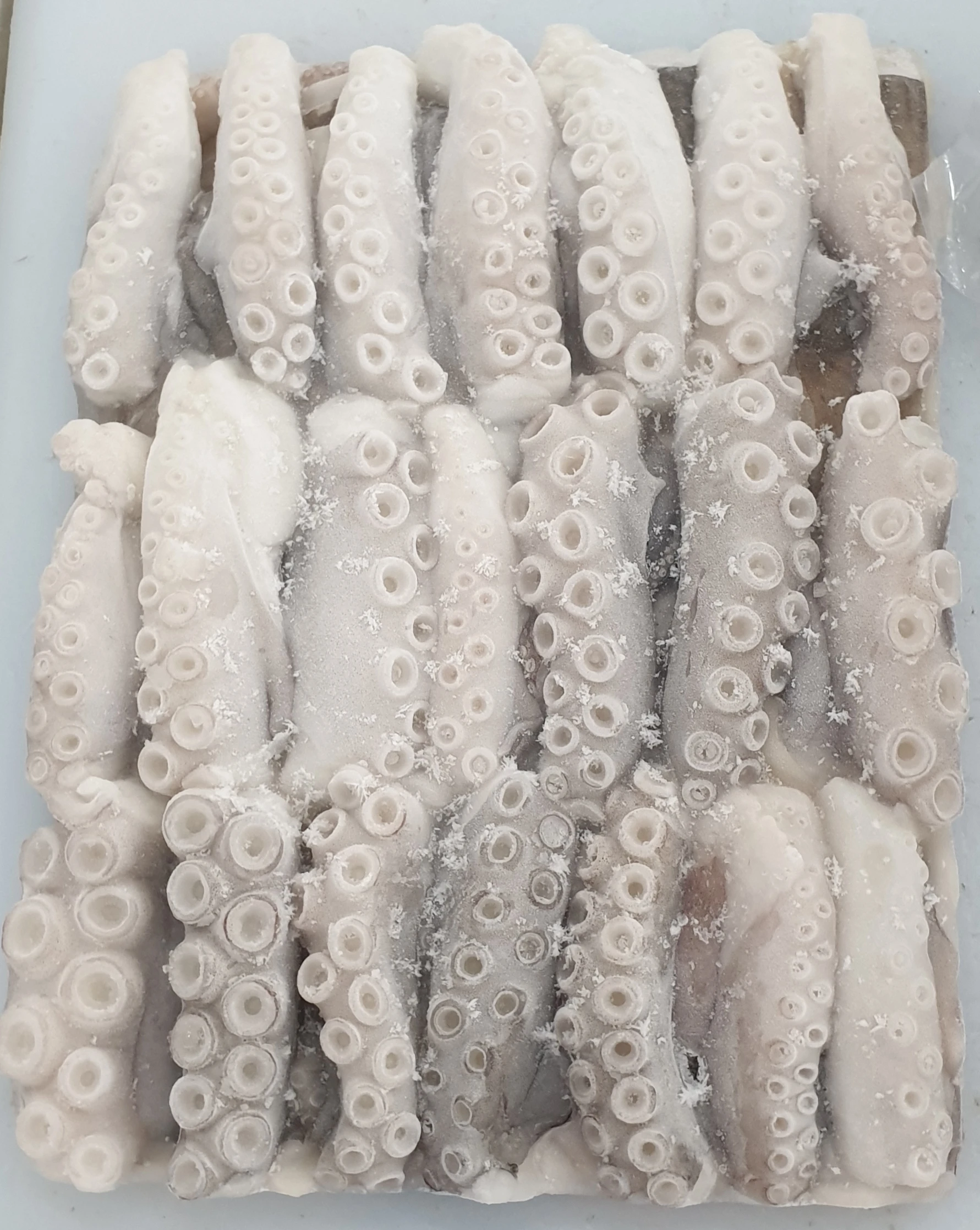 
CUT POULP SQUID FOR SALE 